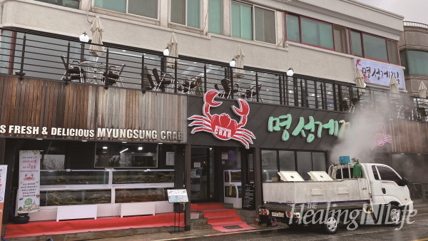 속초 로컬 맛집 '명성 게찜'   사진=김응민 에디터
