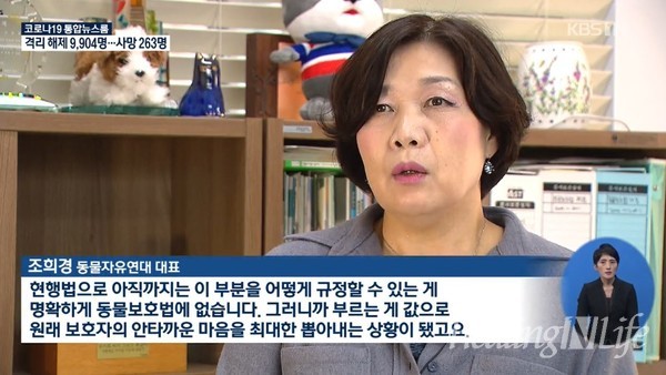 ▲ 조희경 동물자유연대 대표. 출처= KBS1 뉴스