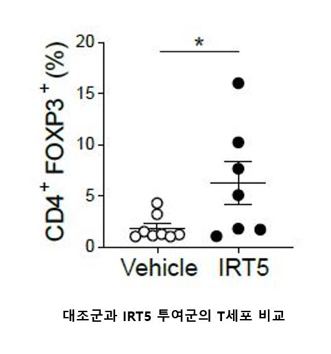 ▲자료2, IRT5 투여군에서 대조군에 비해 면역조절 T세포 수가 많은 것으로 조사됐다.  