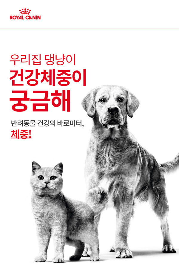 ▲ 로얄캐닌 2021 반려동물 체중관리 캠페인