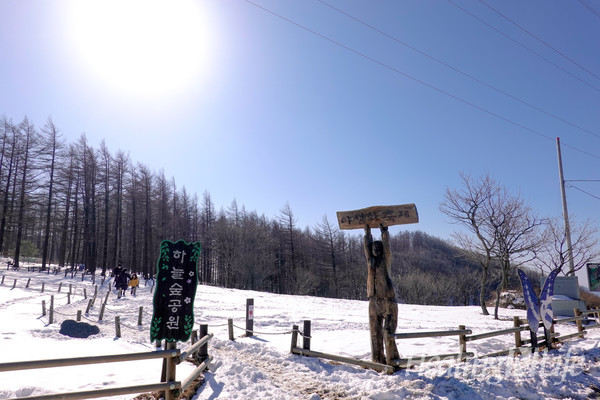 ©박종희 여행기자 / 눈덮힌 만항재 하늘숲 공원