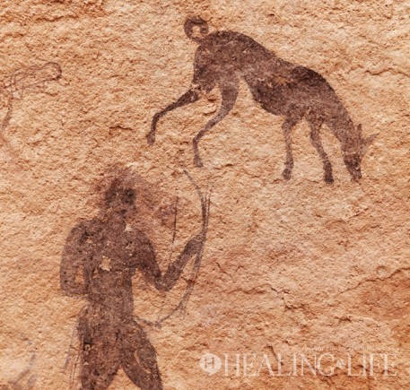 ▲ 이미지=월썸펫케어연구소 제공