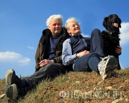 @ waltham Petcare Institute