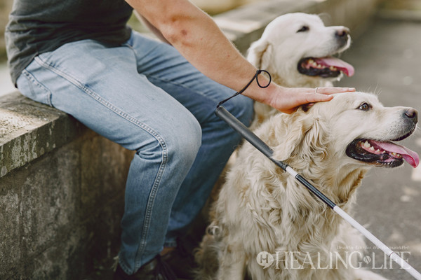 ▲ 사진=게티이미지뱅크