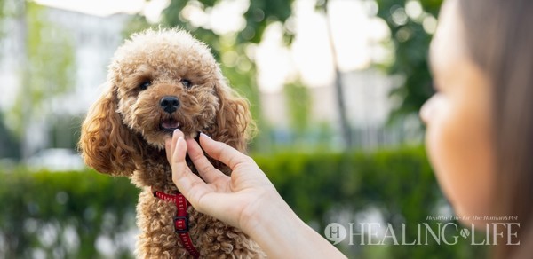 ▲ 사진=게티이미지뱅크
