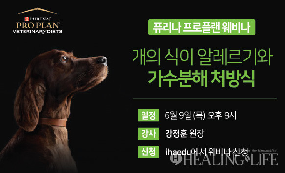 ▲ 퓨리나 프로플랜 웨비나 @네슬레 퓨리나