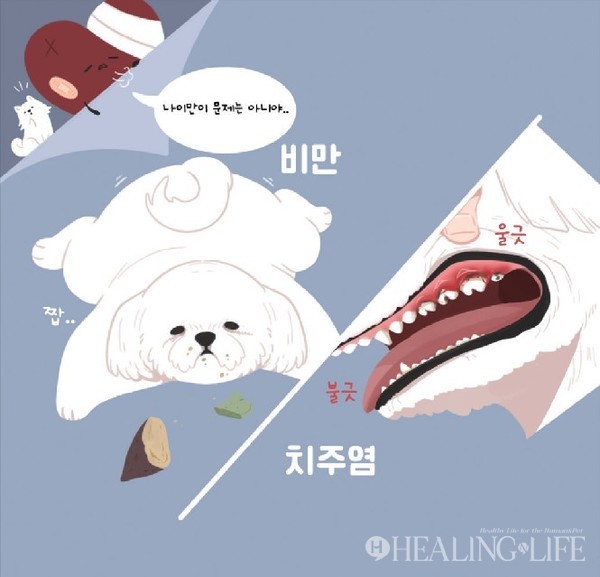 ▲ 박순석동물메디컬센터 제공