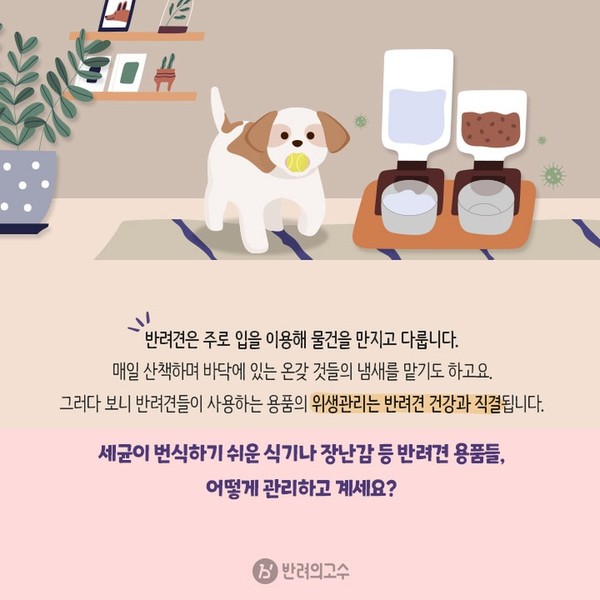 강아지 여행 시 필요한 건강 관리 용품